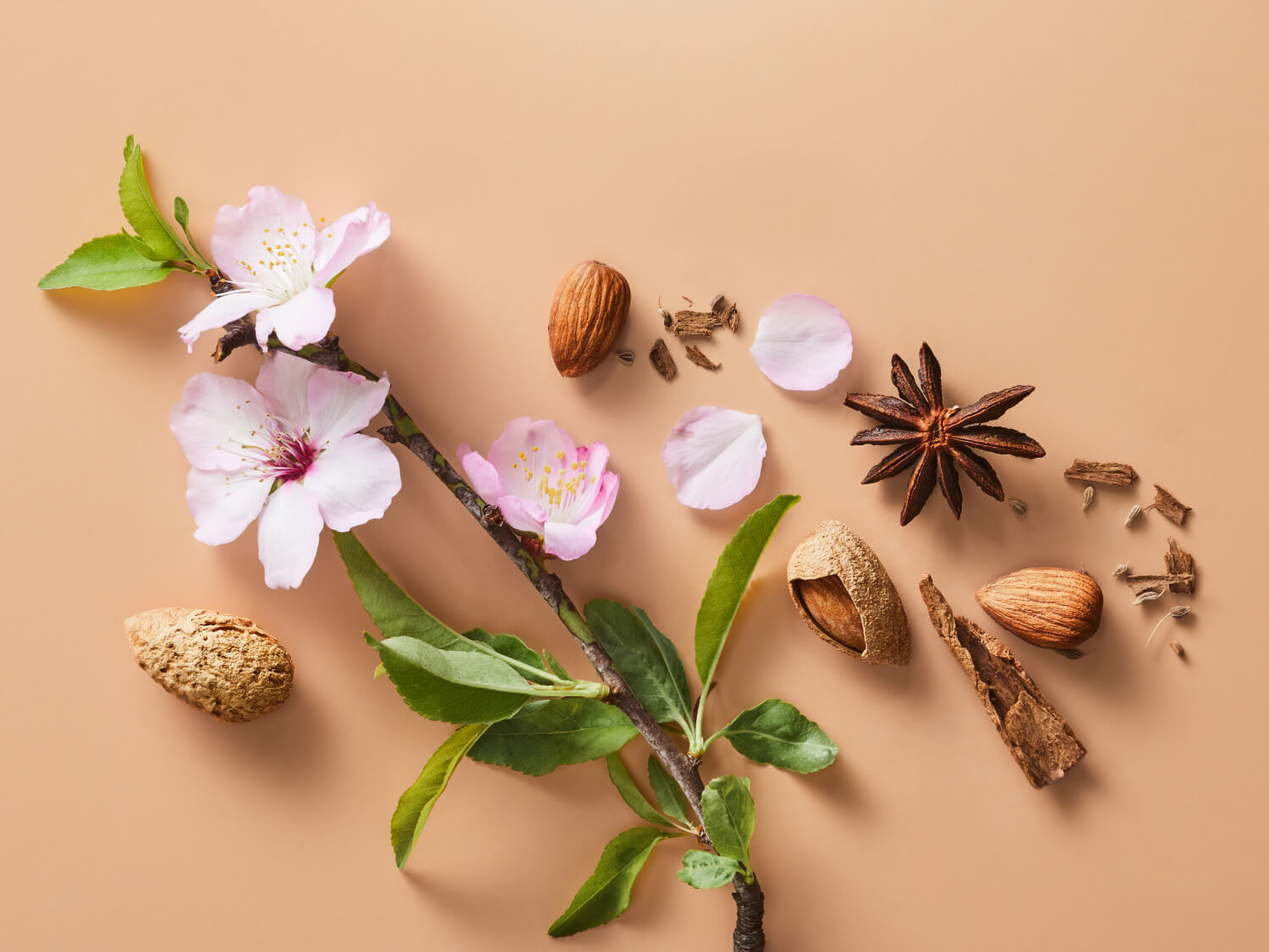 Te de Almendra - Almond Charm